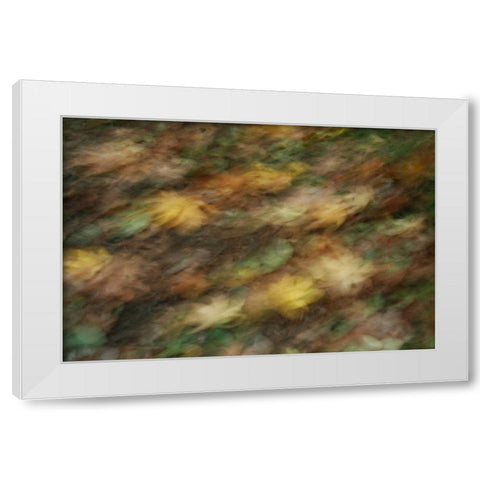 Fall Impressions I White Modern Wood Framed Art Print by Geyman, Vitaly