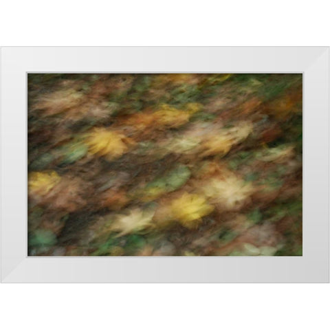 Fall Impressions I White Modern Wood Framed Art Print by Geyman, Vitaly