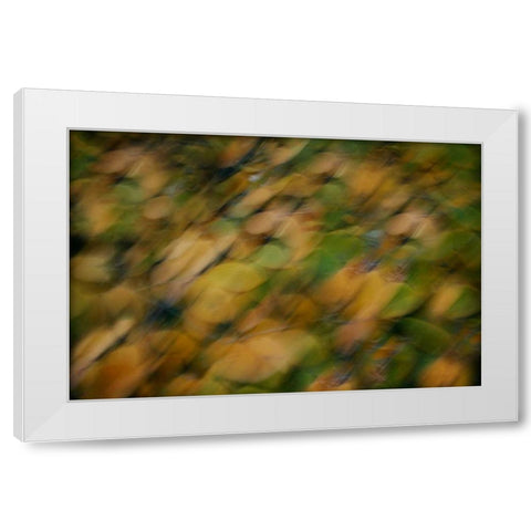 Nature Softness I White Modern Wood Framed Art Print by Geyman, Vitaly