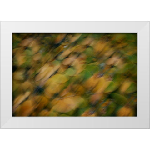 Nature Softness I White Modern Wood Framed Art Print by Geyman, Vitaly