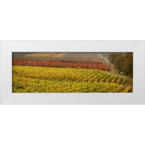 Vineyard White Modern Wood Framed Art Print by Geyman, Vitaly