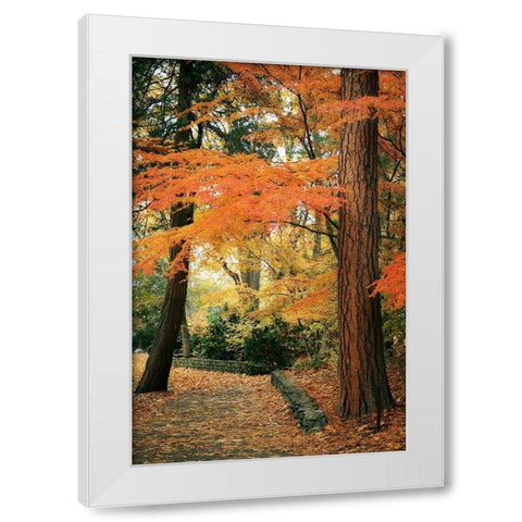 Fall Colors I White Modern Wood Framed Art Print by Geyman, Vitaly