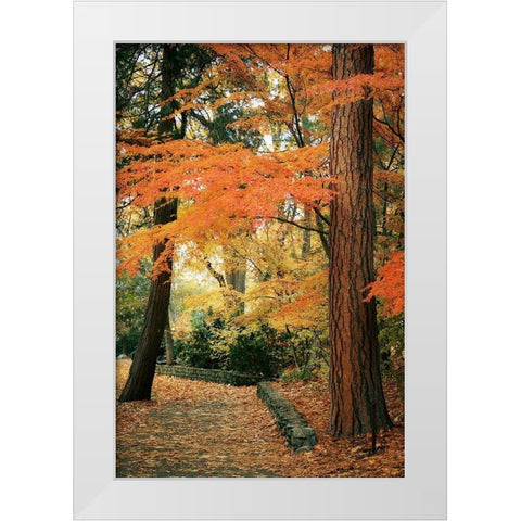 Fall Colors I White Modern Wood Framed Art Print by Geyman, Vitaly