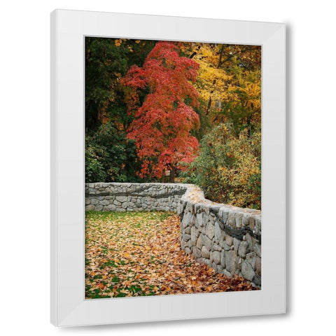 Fall Colors II White Modern Wood Framed Art Print by Geyman, Vitaly