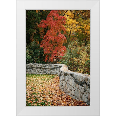 Fall Colors II White Modern Wood Framed Art Print by Geyman, Vitaly