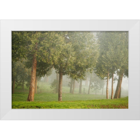 Mystic Woods I White Modern Wood Framed Art Print by Geyman, Vitaly