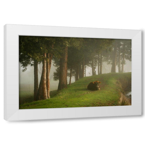 Mystic Woods II White Modern Wood Framed Art Print by Geyman, Vitaly