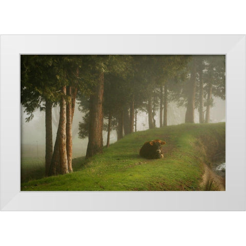 Mystic Woods II White Modern Wood Framed Art Print by Geyman, Vitaly