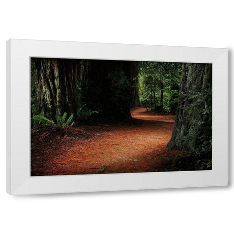 Redwood Mystery White Modern Wood Framed Art Print by Geyman, Vitaly