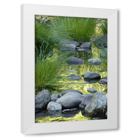 Lucious Falls I White Modern Wood Framed Art Print by Geyman, Vitaly
