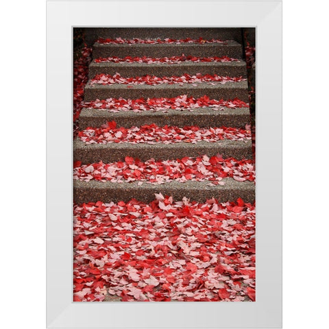 Red Carpet I White Modern Wood Framed Art Print by Geyman, Vitaly