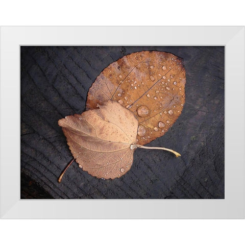 Seasons I White Modern Wood Framed Art Print by Geyman, Vitaly