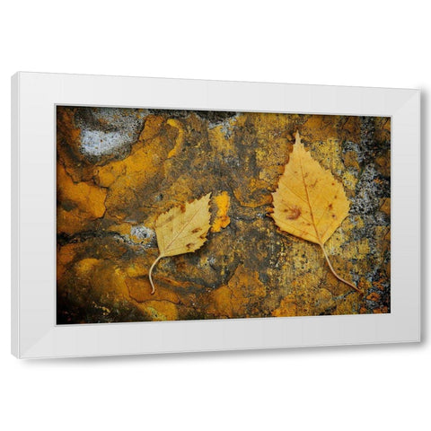 Curb Leaves White Modern Wood Framed Art Print by Geyman, Vitaly