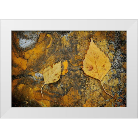 Curb Leaves White Modern Wood Framed Art Print by Geyman, Vitaly