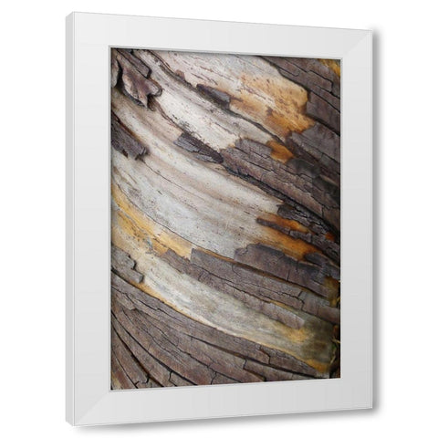 Bark Art I White Modern Wood Framed Art Print by Geyman, Vitaly
