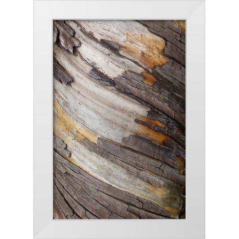 Bark Art I White Modern Wood Framed Art Print by Geyman, Vitaly