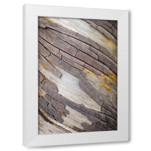Bark Art II White Modern Wood Framed Art Print by Geyman, Vitaly