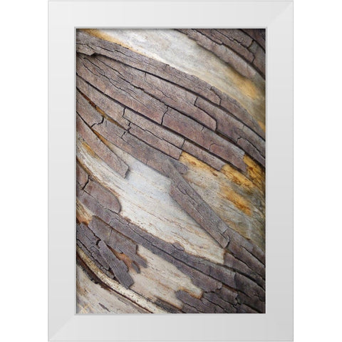 Bark Art II White Modern Wood Framed Art Print by Geyman, Vitaly