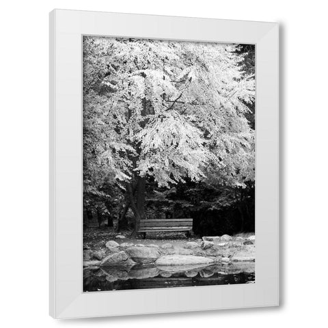 Silver Fall I White Modern Wood Framed Art Print by Geyman, Vitaly