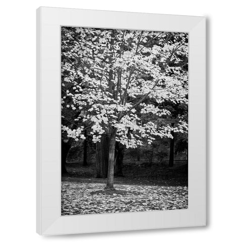 Silver Fall III White Modern Wood Framed Art Print by Geyman, Vitaly