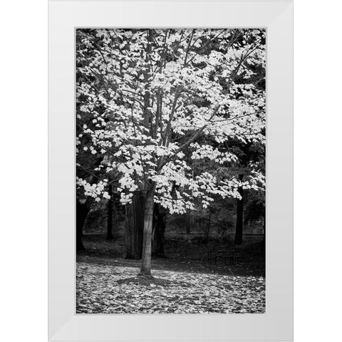 Silver Fall III White Modern Wood Framed Art Print by Geyman, Vitaly