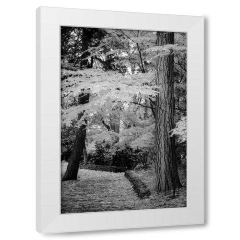 Silver Fall IV White Modern Wood Framed Art Print by Geyman, Vitaly