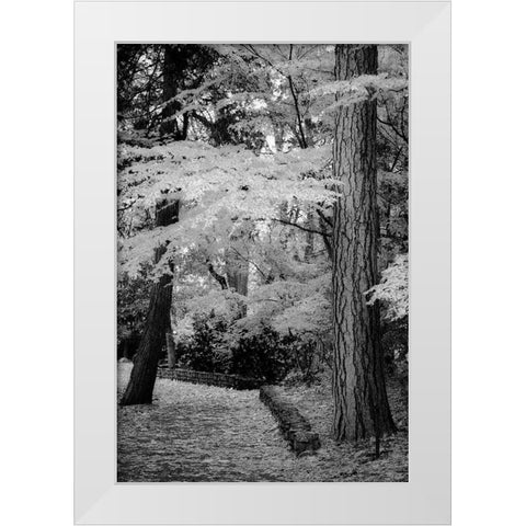 Silver Fall IV White Modern Wood Framed Art Print by Geyman, Vitaly