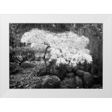 Magic Tree White Modern Wood Framed Art Print by Geyman, Vitaly