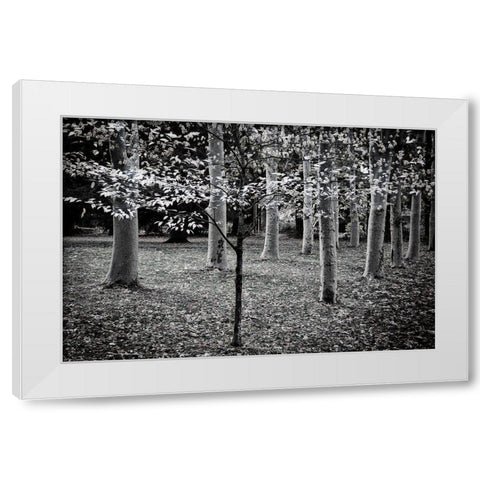 Primadona White Modern Wood Framed Art Print by Geyman, Vitaly