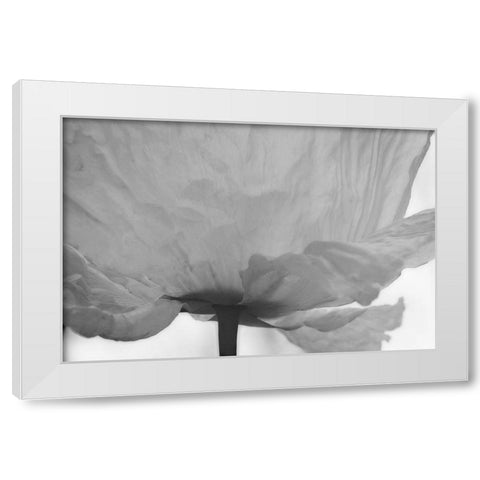 Poppy Elegance I White Modern Wood Framed Art Print by Geyman, Vitaly