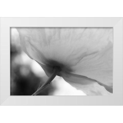 Poppy Elegance II White Modern Wood Framed Art Print by Geyman, Vitaly