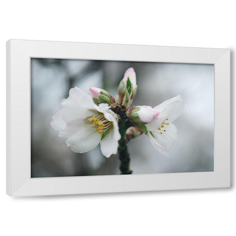 Spring Blossoms III White Modern Wood Framed Art Print by Geyman, Vitaly