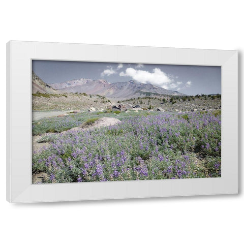 Shasta Majesty II White Modern Wood Framed Art Print by Geyman, Vitaly