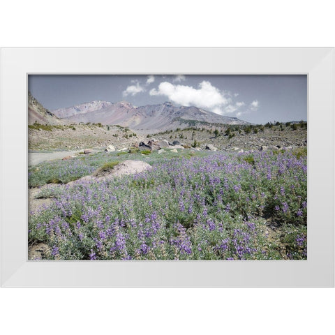 Shasta Majesty II White Modern Wood Framed Art Print by Geyman, Vitaly