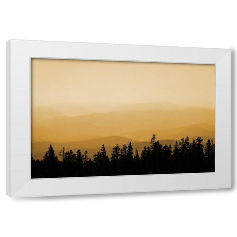 Shasta Silence I White Modern Wood Framed Art Print by Geyman, Vitaly