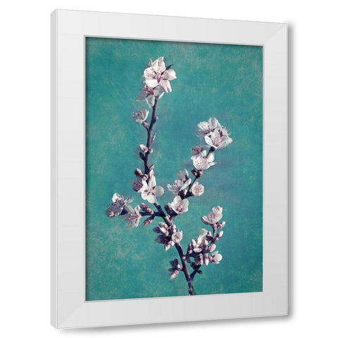 Spring Blossoms on Teal White Modern Wood Framed Art Print by Geyman, Vitaly