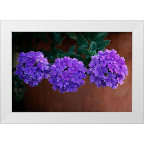 Tri Floral Bouquet White Modern Wood Framed Art Print by Geyman, Vitaly
