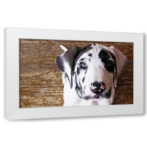 Grace II White Modern Wood Framed Art Print by White, Leesa