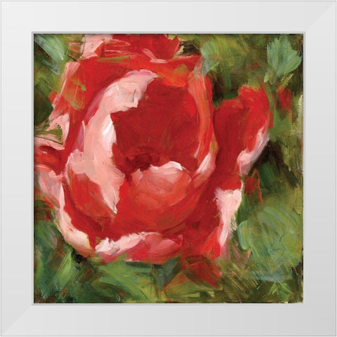 Tulip White Modern Wood Framed Art Print by Salness, Annie