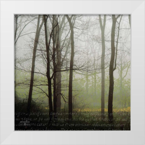 Partners III White Modern Wood Framed Art Print by Studio 2