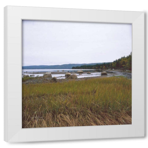 Estuary I White Modern Wood Framed Art Print by Studio 2