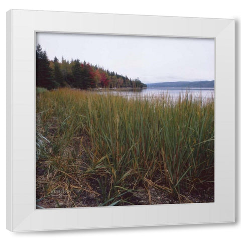 Estuary II White Modern Wood Framed Art Print by Studio 2