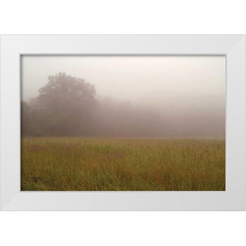 Misty Morning I White Modern Wood Framed Art Print by Studio 2
