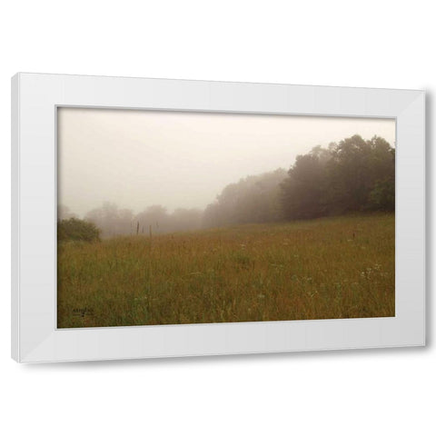 Misty Morning II White Modern Wood Framed Art Print by Studio 2