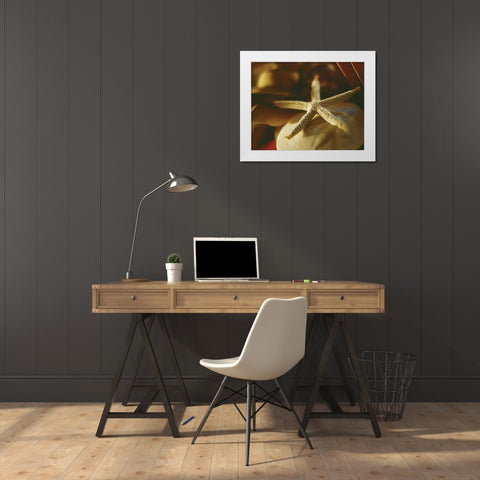 Starfish III White Modern Wood Framed Art Print by Clayton-Thompson, Philip