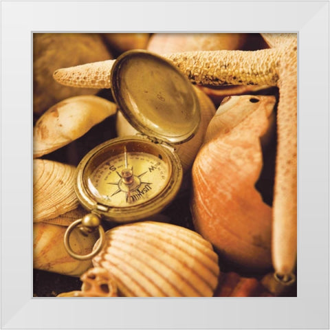 Lost in Time II White Modern Wood Framed Art Print by Clayton-Thompson, Philip