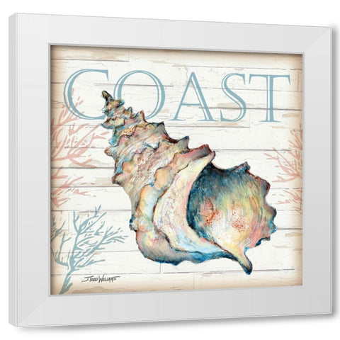 Coast Shell White Modern Wood Framed Art Print by Williams, Todd