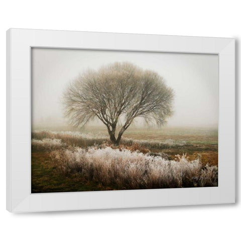 Tranquility I White Modern Wood Framed Art Print by Geyman, Vitaly