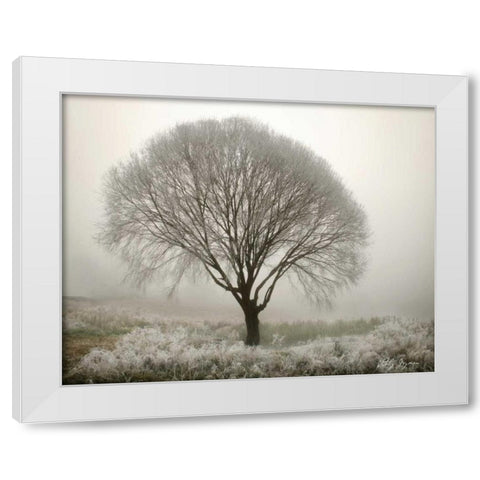Tranquility II White Modern Wood Framed Art Print by Geyman, Vitaly