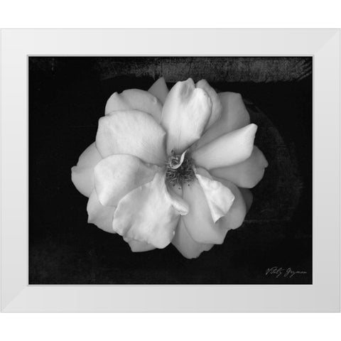 Wild Rose White Modern Wood Framed Art Print by Geyman, Vitaly